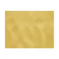 Set de table TNT 60g/m 30x40cm  Curry